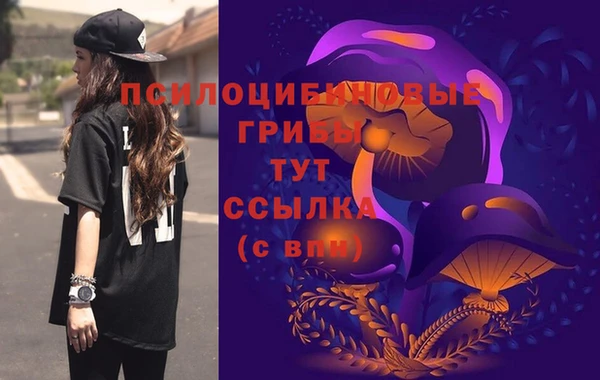 гидропоника Лагань