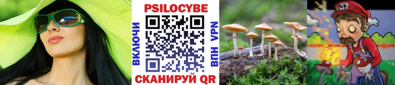 Галлюциногенные грибы Psilocybe Данилов