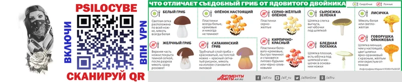 цена наркотик Данилов Псилоцибиновые грибы мицелий